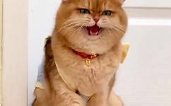 日韩一卡2卡3卡4卡2021乱码